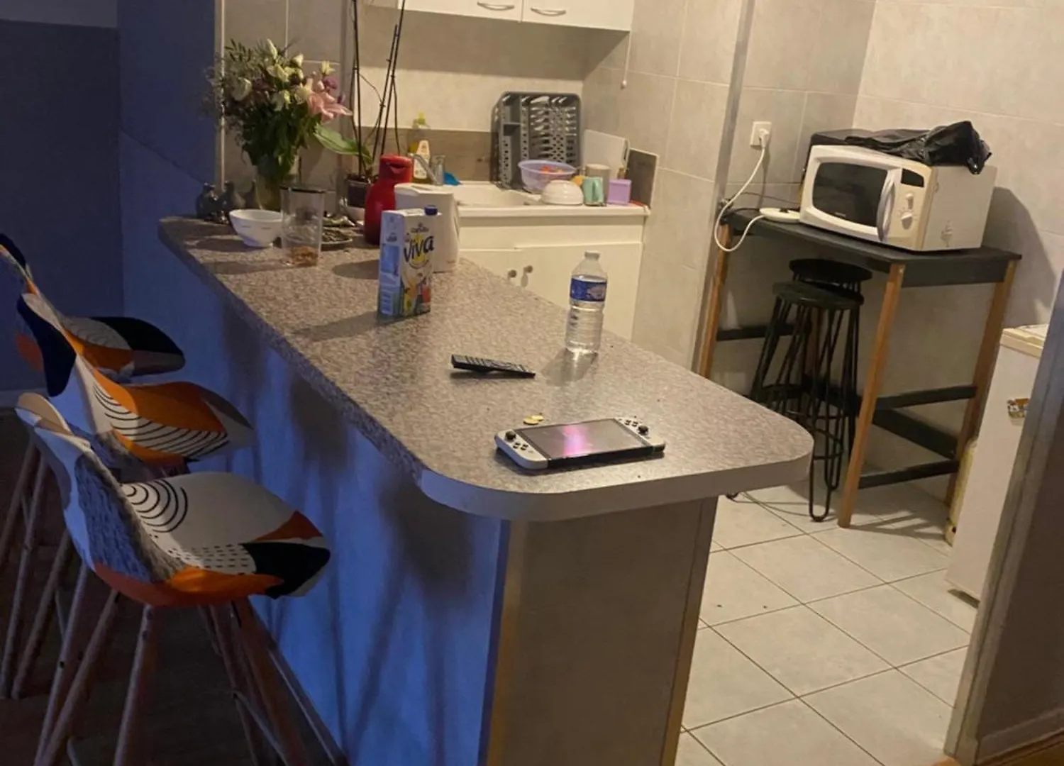 Appart Entier Aussonne Apartment